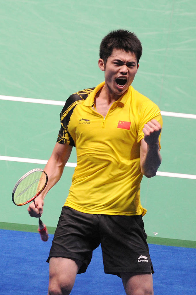 说明你可能 说明你可能